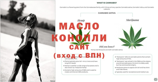 молекула духа Куйбышев